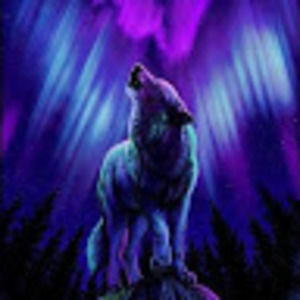 Meet your Posher, Joshua